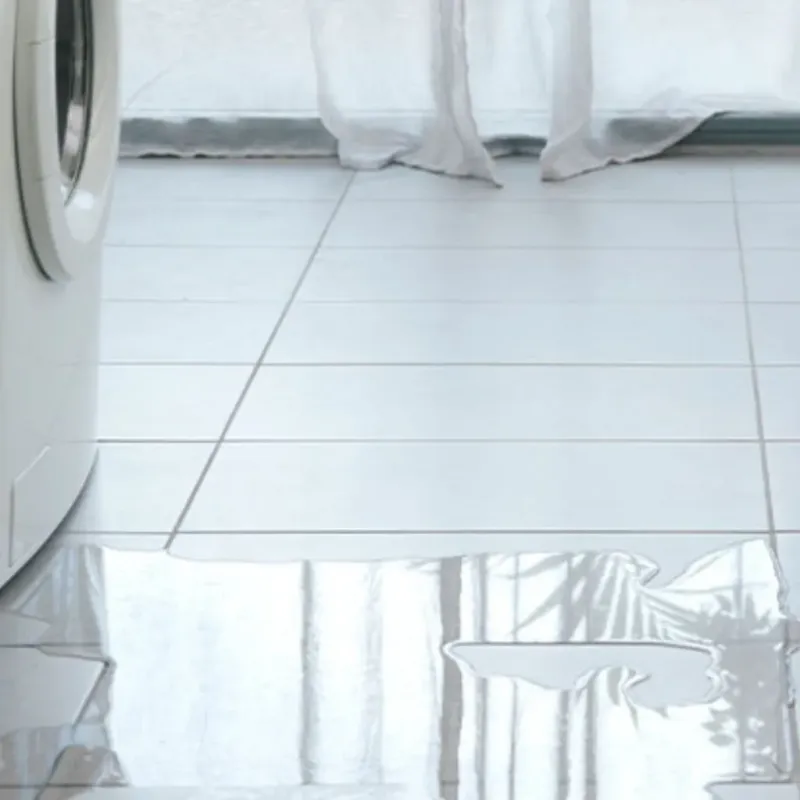 Appliance Leak Cleanup in Orangeburg, SC