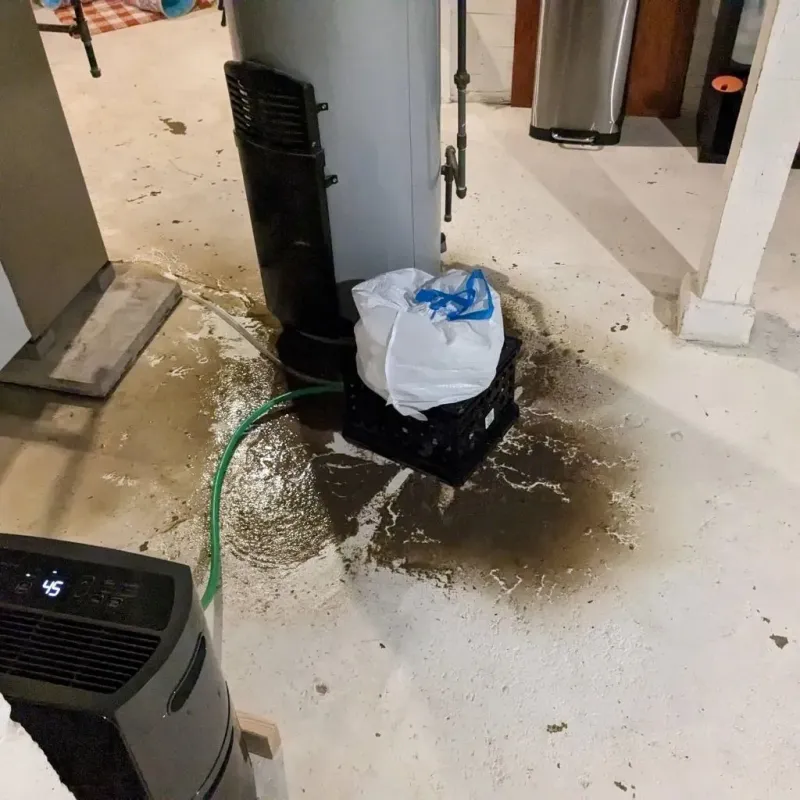 Sewage Backup Cleanup Service in Orangeburg, SC